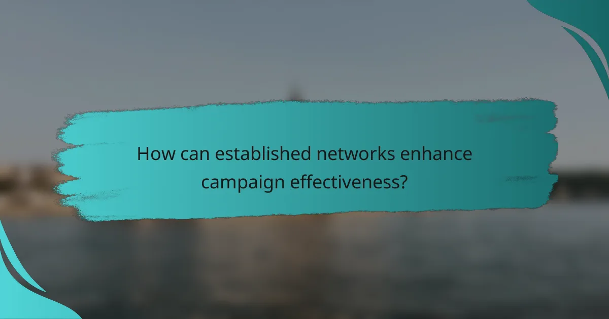 How can established networks enhance campaign effectiveness?