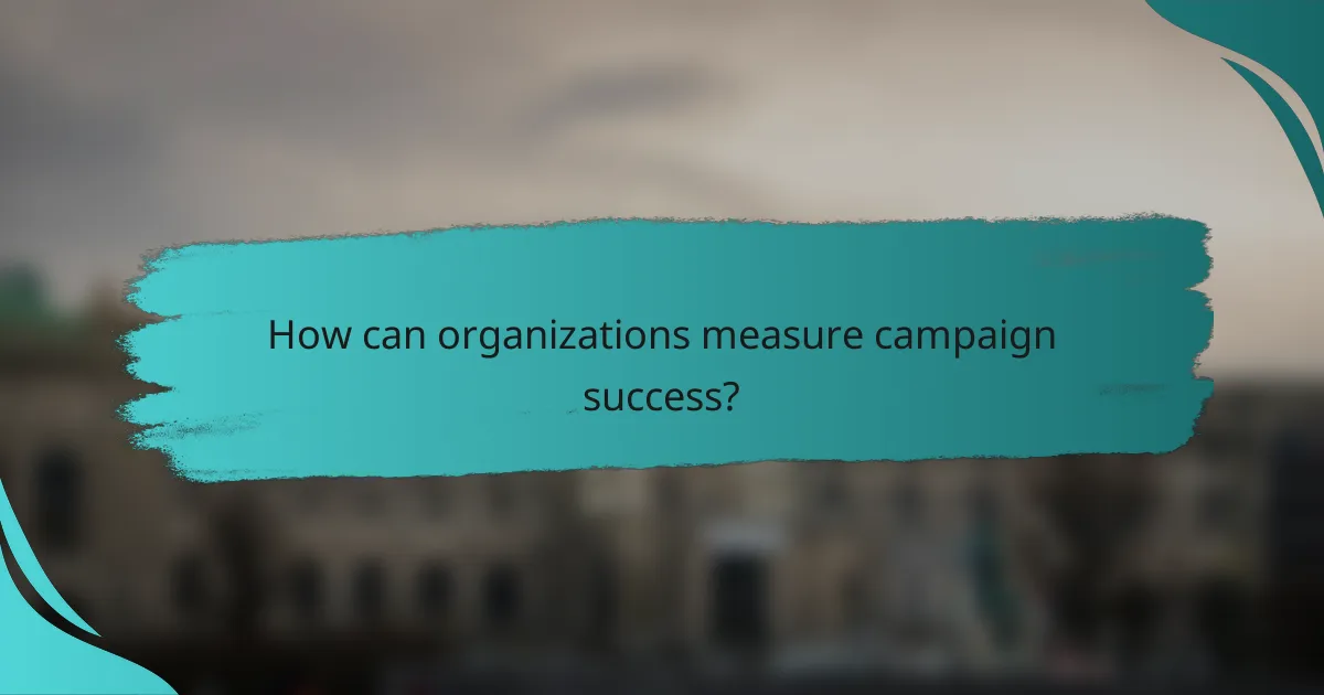 How can organizations measure campaign success?